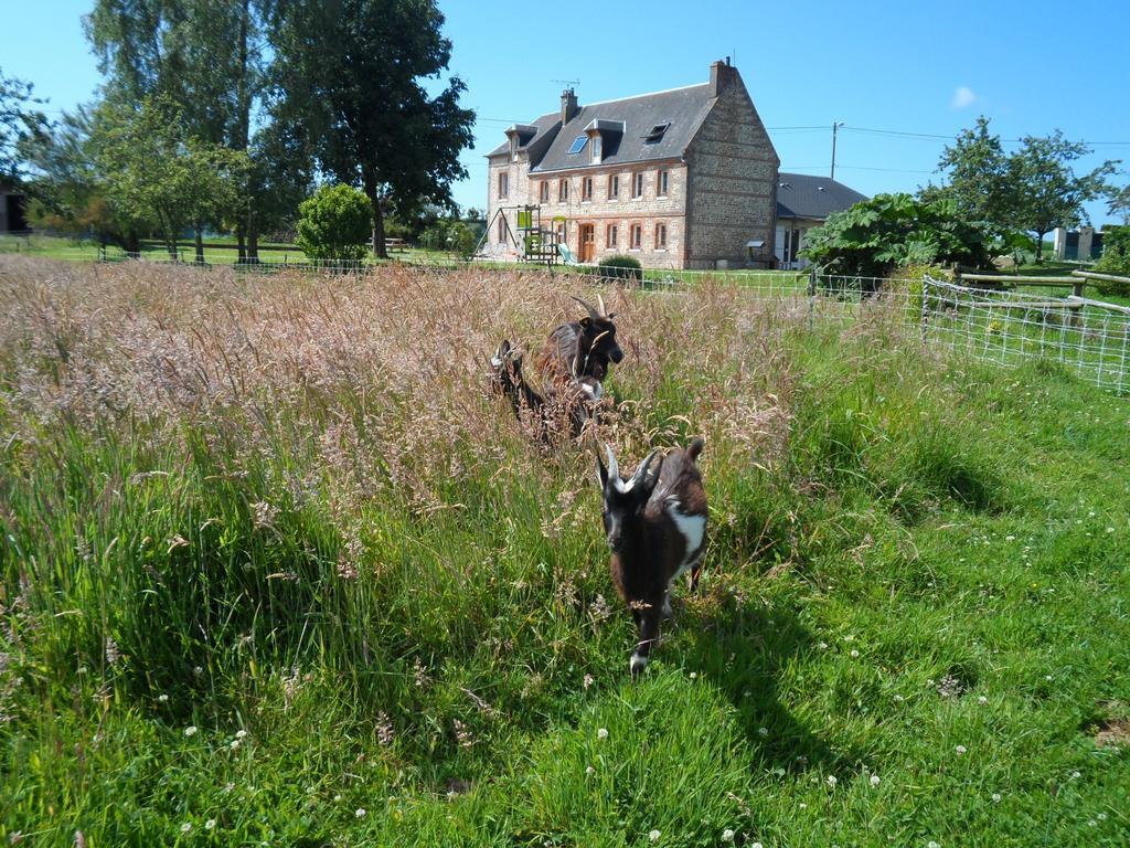 A L'Oree Du Lin Mentheville Exterior foto